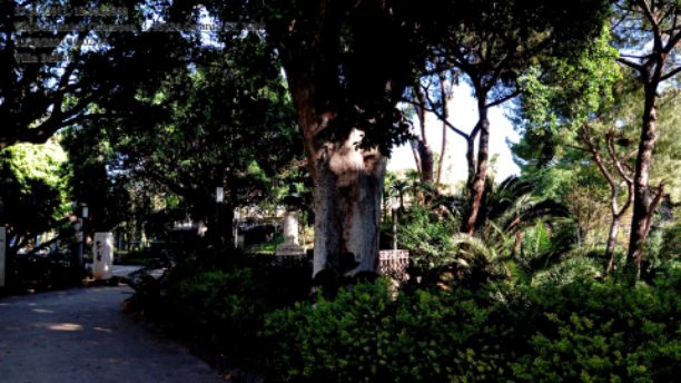 Villa Bellini